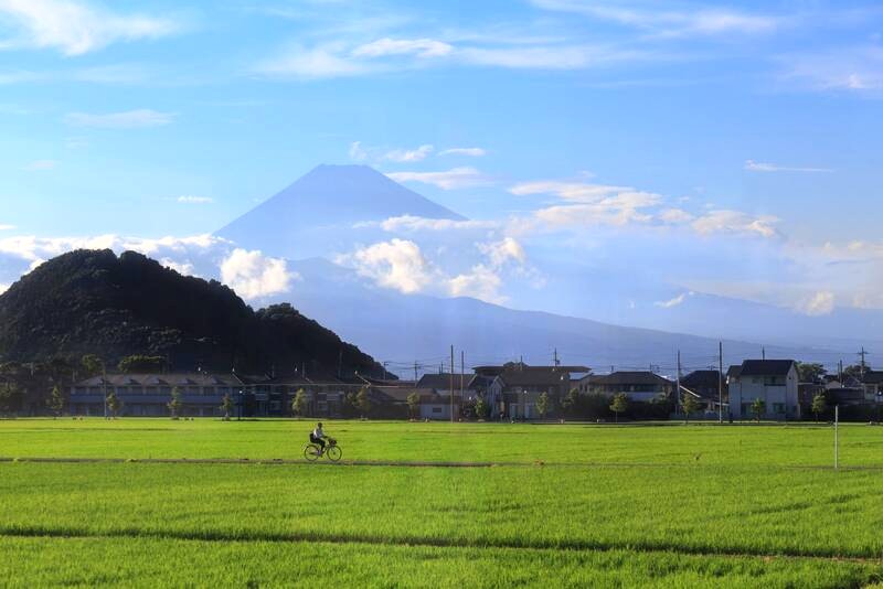 Shizuoka đẹp quanh năm. (Ảnh: Getty Images)