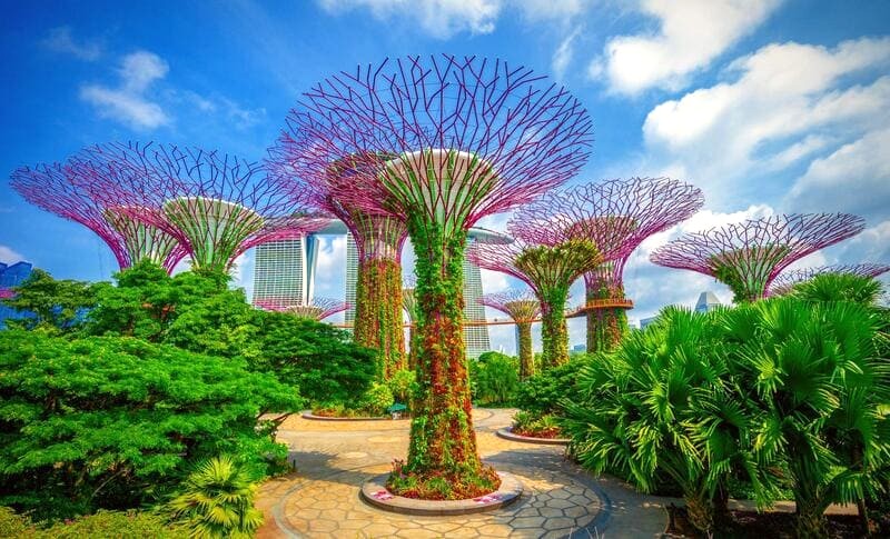 Garden by the Bay là điểm check-in lý tưởng, ngắm cảnh đẹp khó bỏ lỡ khi du lịch Singapore. (Ảnh: shoreexcursionsgroup)