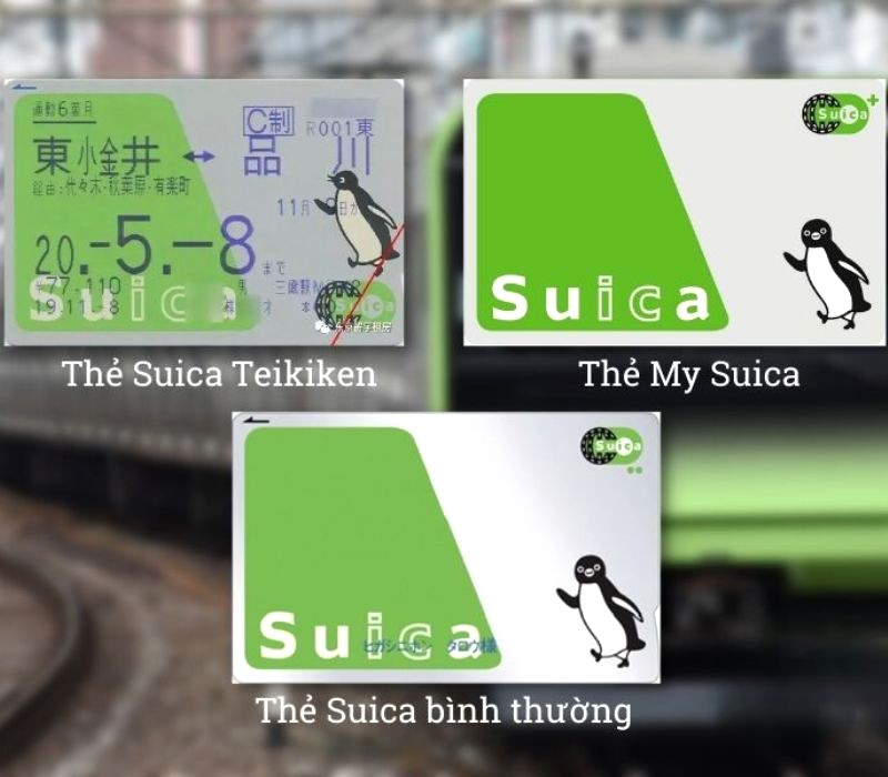 Thẻ Suica phổ biến. Ảnh: vietmartjp