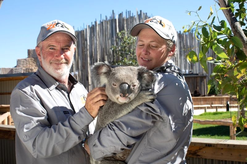 Sydney Zoo: Gặp gỡ gấu túi và các loài động vật đặc trưng của Úc. (Ảnh: westernsydneyparklands)