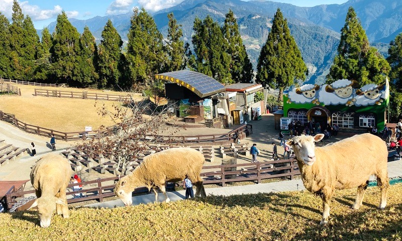 Khám phá Qingjing Farm với những con đường đi bộ đầy màu sắc.