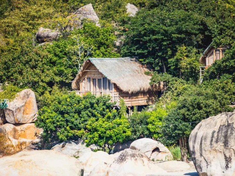 Tarzan Bungalow: Mát mẻ giữa khung cảnh xanh.