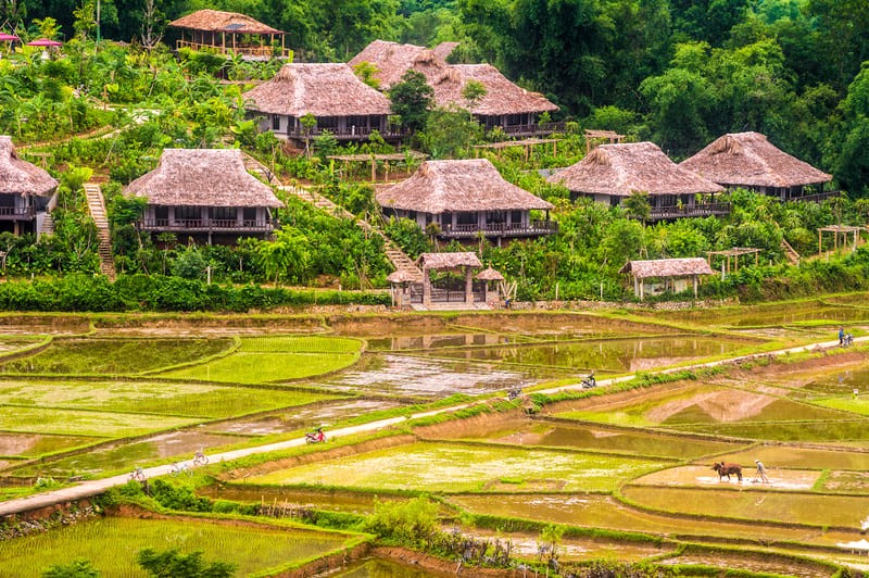 Mai Châu Ecolodge: Bungalow sang trọng, nghỉ dưỡng lý tưởng.