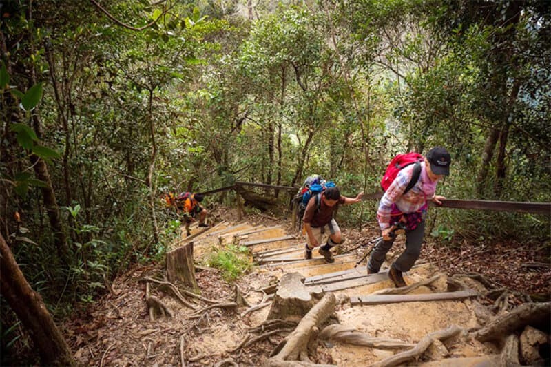 Băng rừng, khám phá thiên nhiên hoang sơ, chiêm ngưỡng vẻ đẹp hùng vĩ của rừng già. (Ảnh: mountkinabalu)