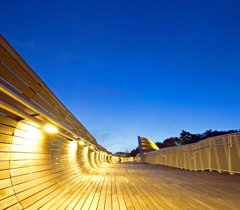 Henderson Waves, Singapore, nổi tiếng với cấu trúc độc đáo, được xem là một trong những cây cầu đi bộ ấn tượng nhất thế giới. (Ảnh: Terkung)