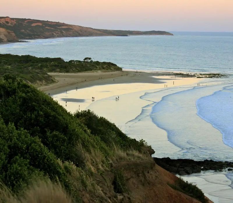 Torquay: Nơi khởi đầu của Great Ocean Road.