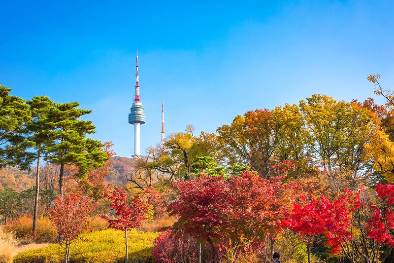 Tháp N Seoul (236m) là điểm cao thứ hai ở Seoul.