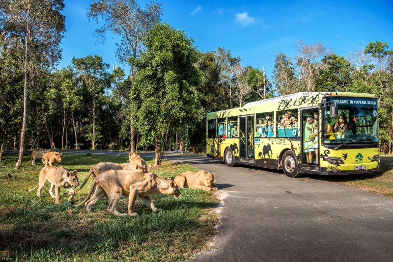 Khám phá thế giới động vật đa dạng tại Vinpearl Safari Phú Quốc.