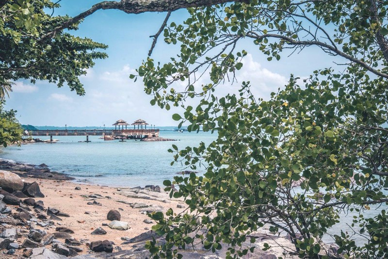 Bãi biển thơ mộng Pulau Ubin (Ảnh: celebritycruises)