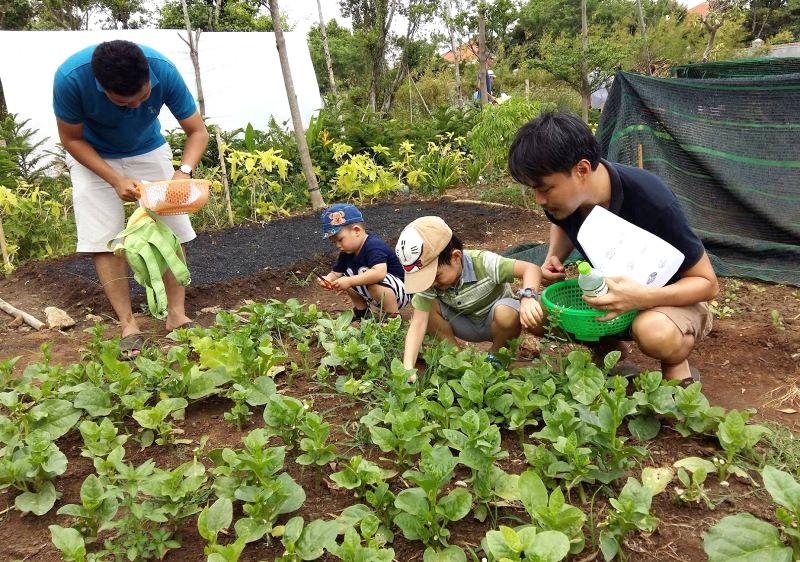 Family Garden: Trải nghiệm cuộc sống nhà nông vui nhộn cho bé tại TPHCM.