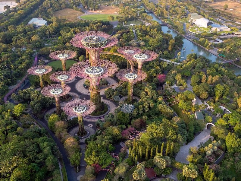 Vườn Gardens by the Bay, biểu tượng của Singapore. (Ảnh: timeout)