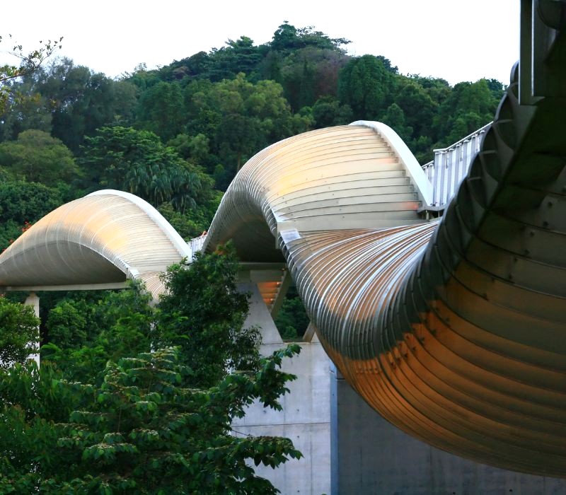 Henderson Waves, biểu tượng sáng tạo kiến trúc Singapore. (Ảnh: vichie81)