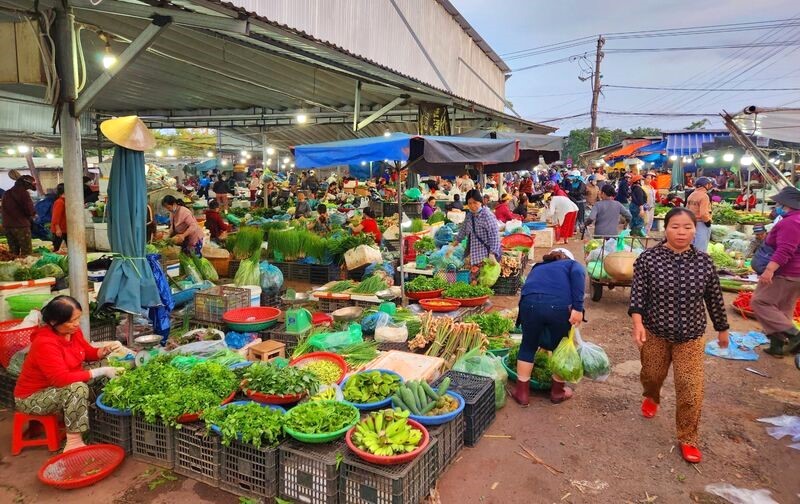 Nằm trên tuyến đường lớn, chợ Dĩ An 2 nhộn nhịp suốt ngày.