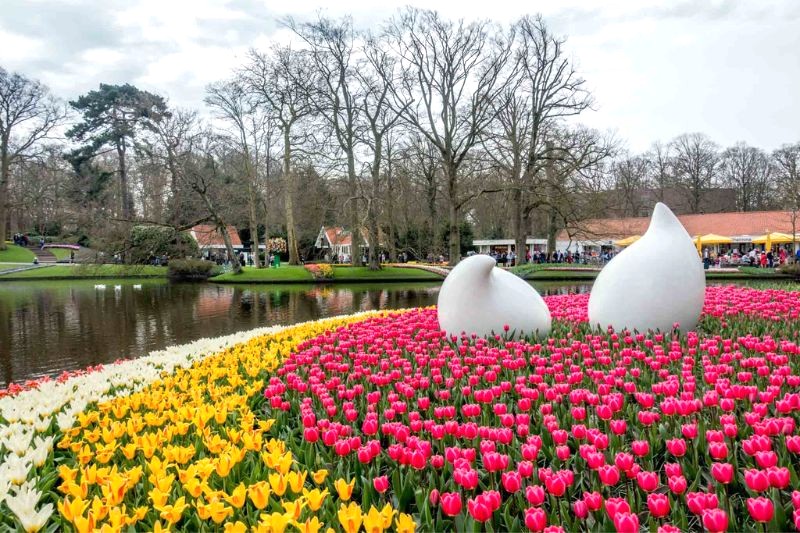 Vườn Keukenhof không chỉ có hoa tulip, còn đa dạng khu vực với chủ đề độc đáo.