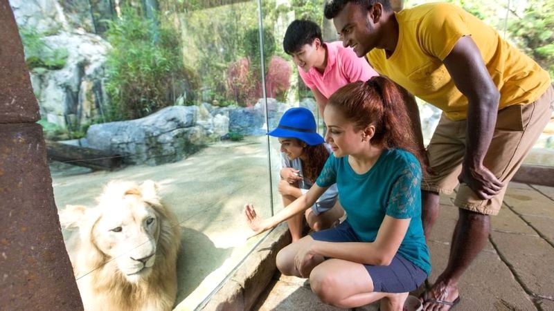 Sunway Lagoon Wildlife Park: Khám phá thế giới động vật hoang dã với hơn 150 loài, tương tác trực tiếp! (Ảnh: sunwaylagoon)