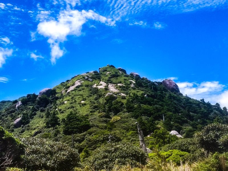 Yakushima: Nơi ẩn náu của động vật hoang dã (Ảnh: Toshihiro Nakajima)