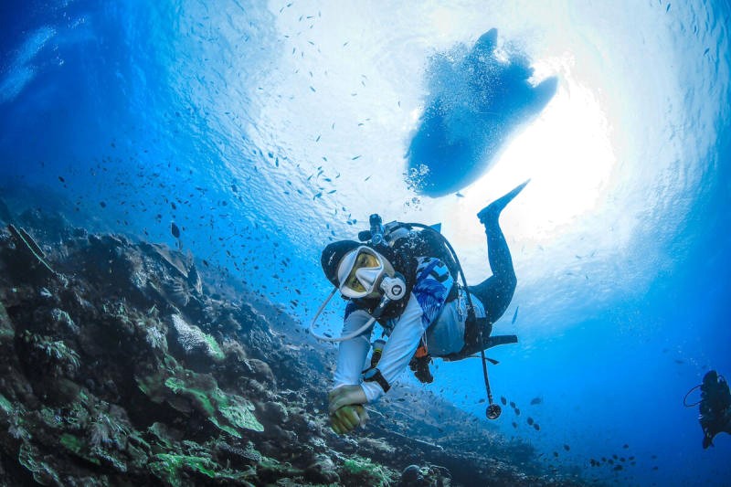 Vườn quốc gia Komodo: thiên đường cho những tín đồ lặn biển. (Ảnh: Scuba Go)