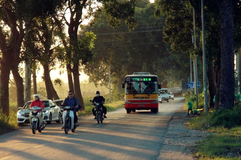 Tuyến buýt 46: lựa chọn lý tưởng thăm Cổ Loa.