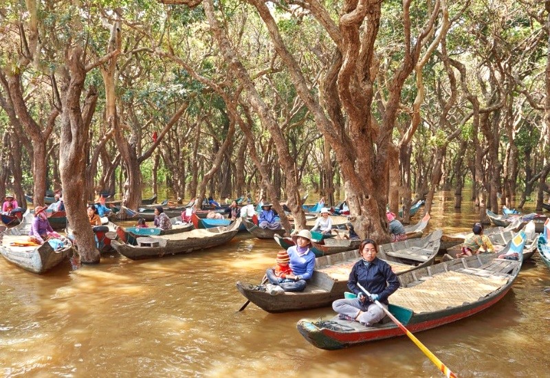 Chèo xuồng khám phá rừng đước.