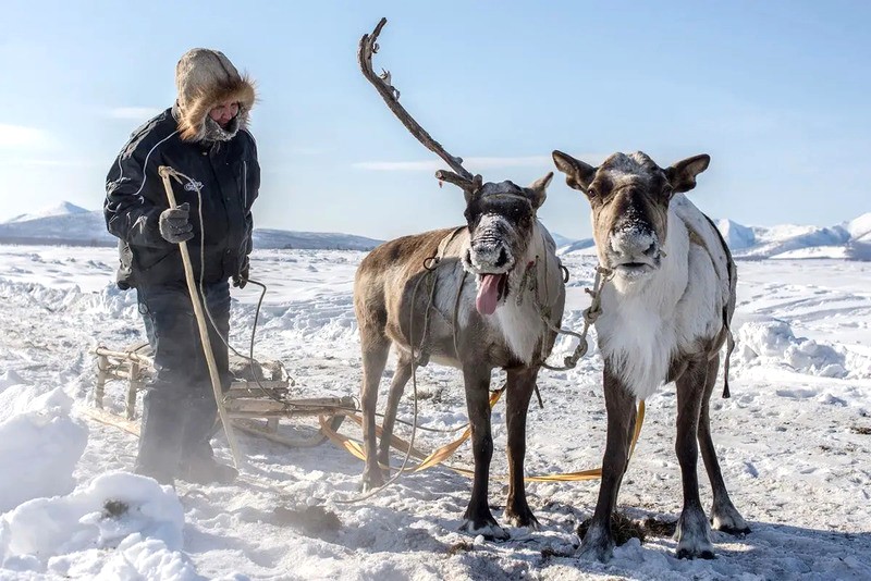 Khám phá cuộc sống du mục ở Oymyakon.