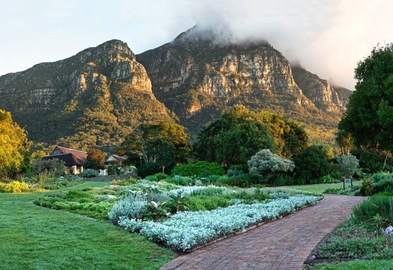 Vườn bách thảo Kirstenbosch, điểm du lịch nổi tiếng gần núi Bàn. (Ảnh: luhanhvietnam)