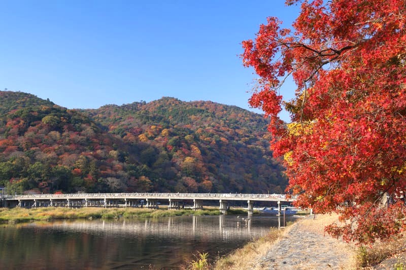 Cầu Togetsukyo, biểu tượng Arashiyama, bắc qua sông Katsura, mang đến cảnh quan tuyệt đẹp quanh năm. (Ảnh: Expedia)