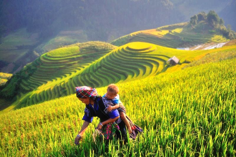 Mù Cang Chải cách Yên Bái 180km.