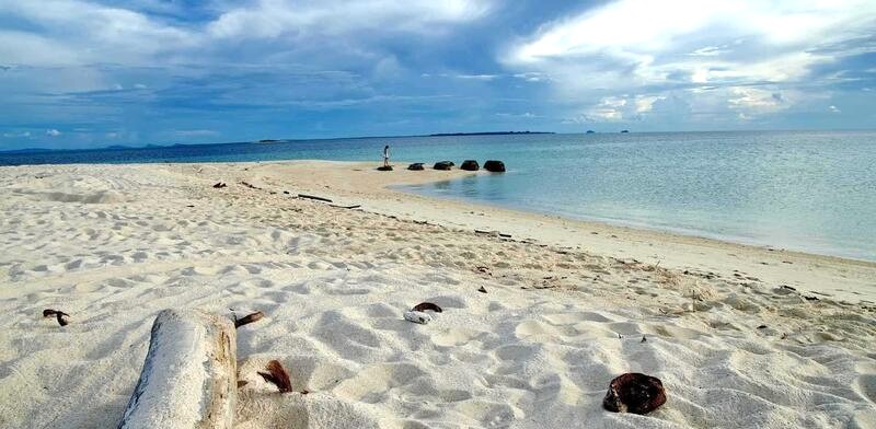 Công viên quốc gia Đảo Rùa (Pulau Penyu) là nơi làm tổ của rùa xanh và rùa đồi mồi, chúng đến đây để đẻ trứng trên ba hòn đảo nhỏ.