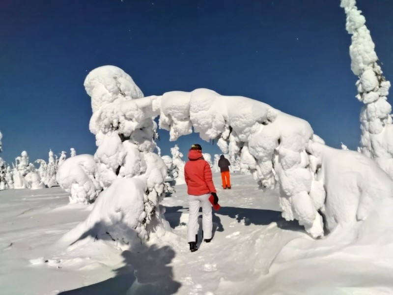 Riisitunturi lung linh dưới bầu trời sao mùa đông. (Ảnh: finlandnaturally)