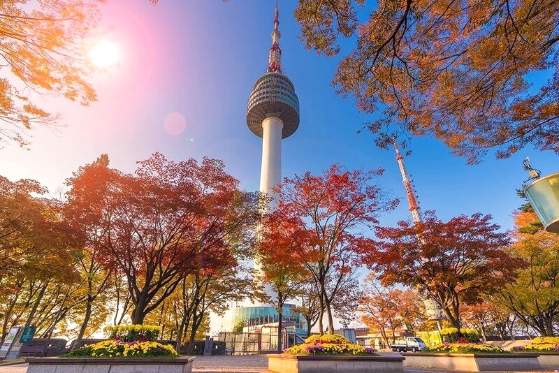 Toàn cảnh Seoul sầm uất hiện ra từ đỉnh tháp Namsan. (Ảnh: Viantravel)