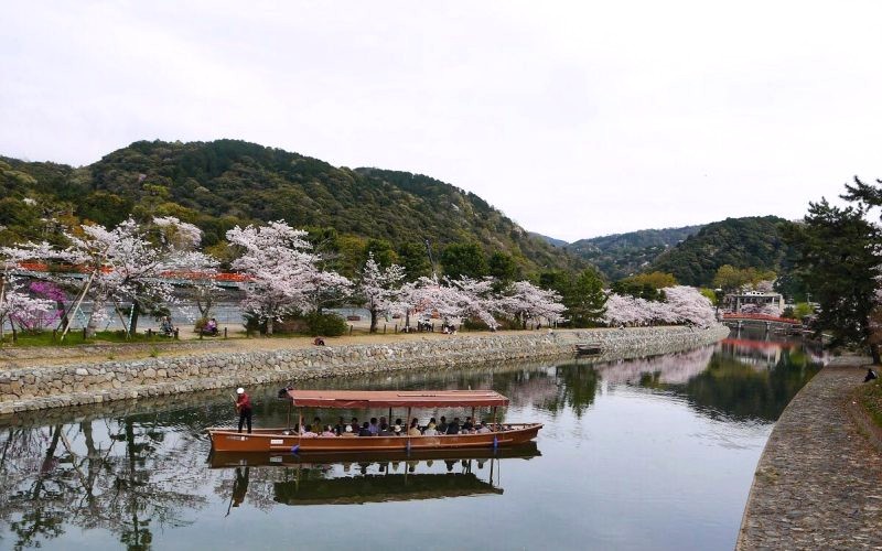 Uji thơ mộng, yên bình với dòng sông hiền hòa, càng thêm rực rỡ khi hoa nở. (Ảnh: mytravelbuzzg)