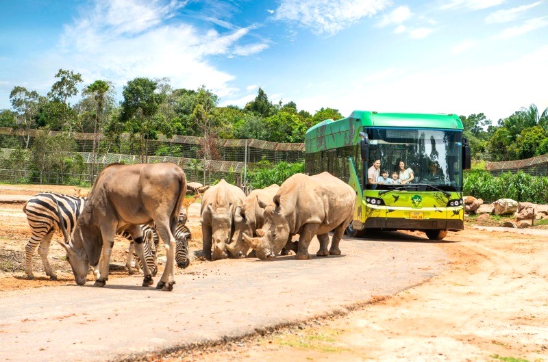 Vinpearl Safari Phú Quốc: Sở thú bán hoang dã lớn nhất Việt Nam.