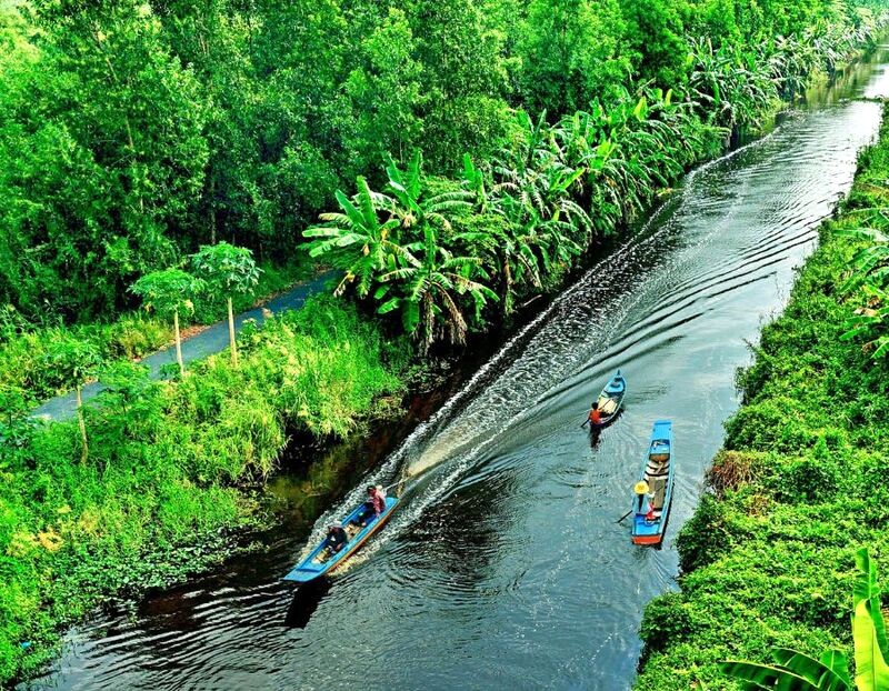 Khám phá Vườn quốc gia U Minh Hạ bằng thuyền, trải nghiệm thú vị cho kỳ nghỉ lễ.