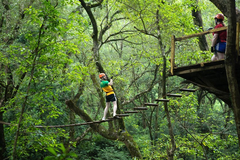 Công viên Ozo Quang Bình có 17 trò chơi trên cây thử thách, trong đó có trò này (Ảnh: Fanpage Ozo Park Quang Binh)