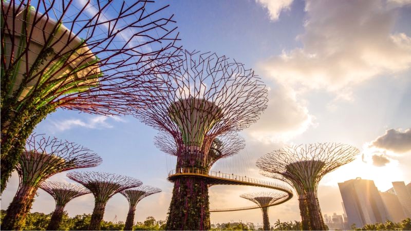 Gardens by the Bay: Hơn 250.000 loài cây quý và rừng siêu cây cao 16 tầng. (Ảnh: visitsingapore)