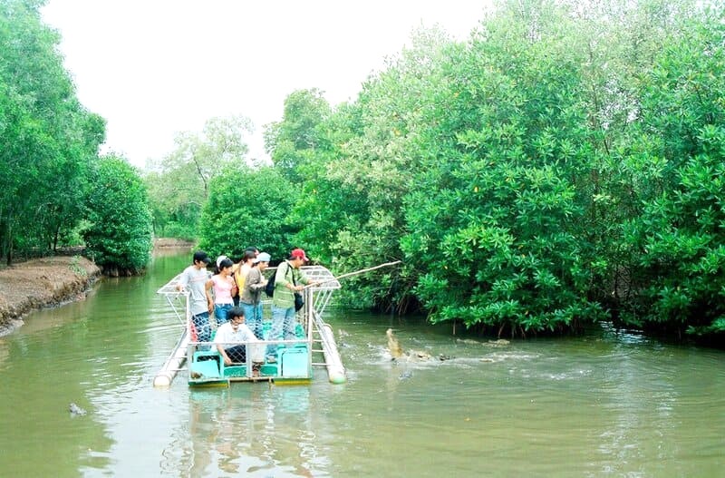 Câu cá sấu tại Vàm Sát: Trải nghiệm độc đáo!