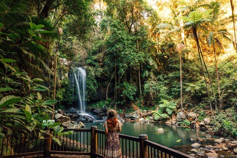 Hòa mình vào thiên nhiên tại Công viên Quốc gia Tamborine (Ảnh: Queensland).