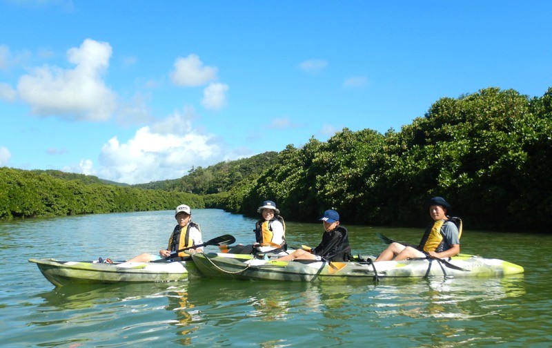 Chèo kayak giữa rừng ngập mặn Yanbaru mùa hè (japan.travel)