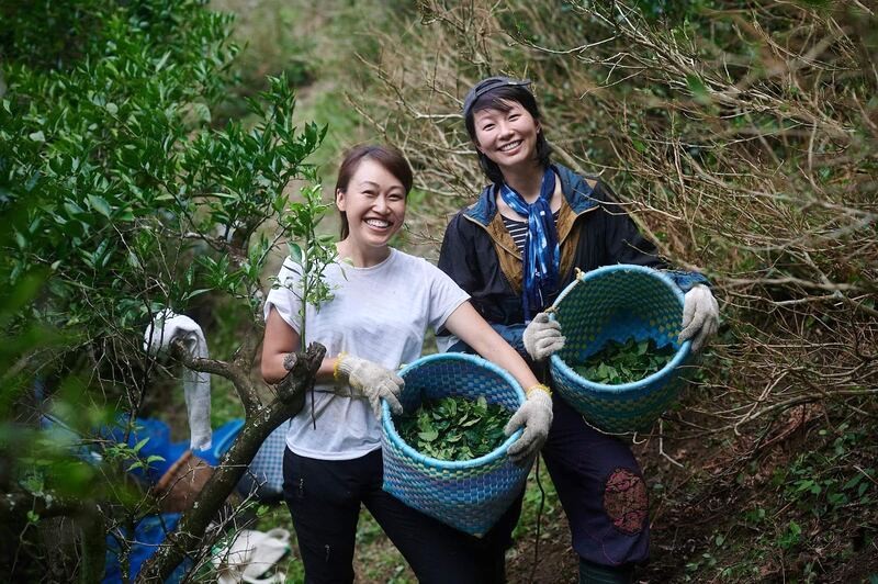 Khám phá Kamikatsu cùng INOW, hòa mình vào cuộc sống địa phương như một người dân thực thụ.