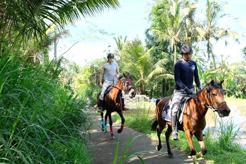 Trang trại ngựa Ubud Horse Stables, điểm đến hấp dẫn với nhiều trải nghiệm độc đáo tại Tegalalang.