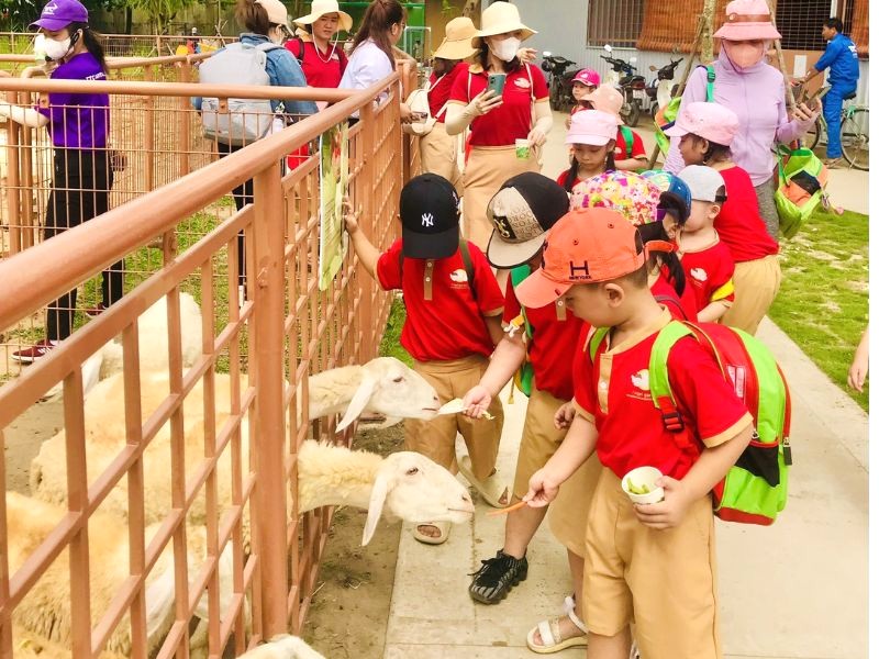 Chạm và cho thức ăn thú cưng tại Tiny Zoo!