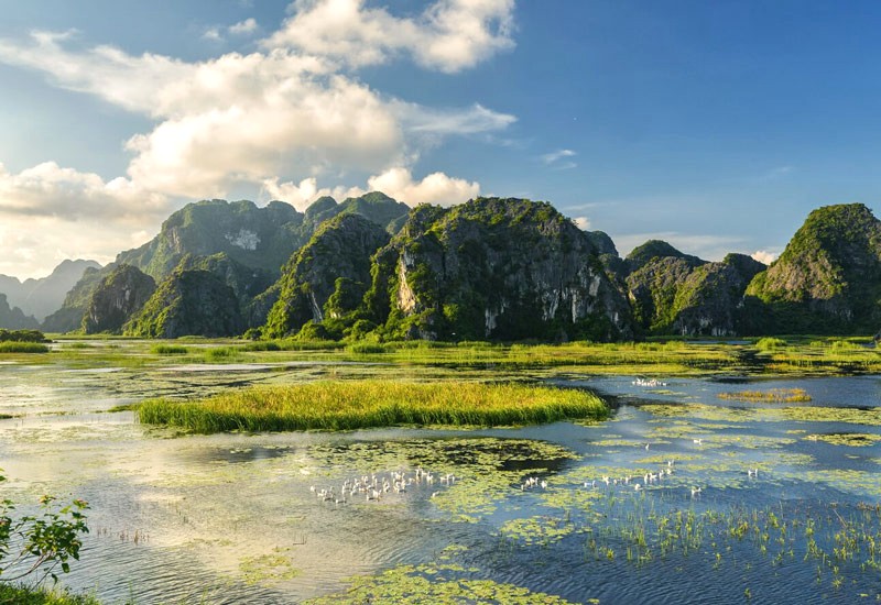 Vân Long: bình yên, phẳng lặng.