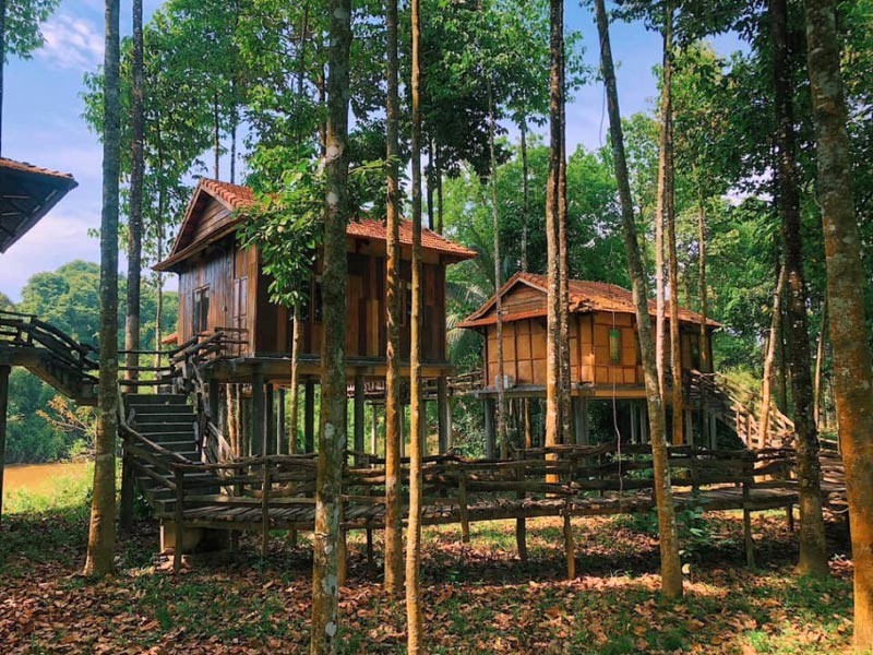 Bungalow riêng biệt tại Green Bamboo Lodge giữa rừng.