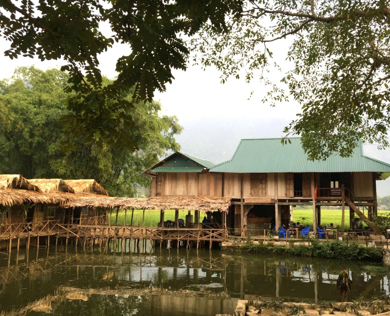 Homestay Mai Châu: Trải nghiệm văn hóa độc đáo.