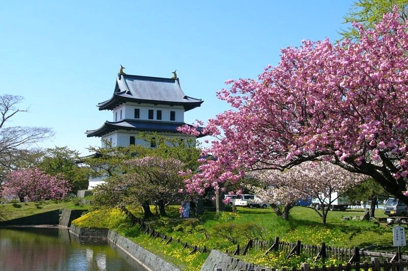 Công viên Matsumae ở Hokkaido là điểm ngắm hoa anh đào tuyệt đẹp. (Ảnh: japantravel)