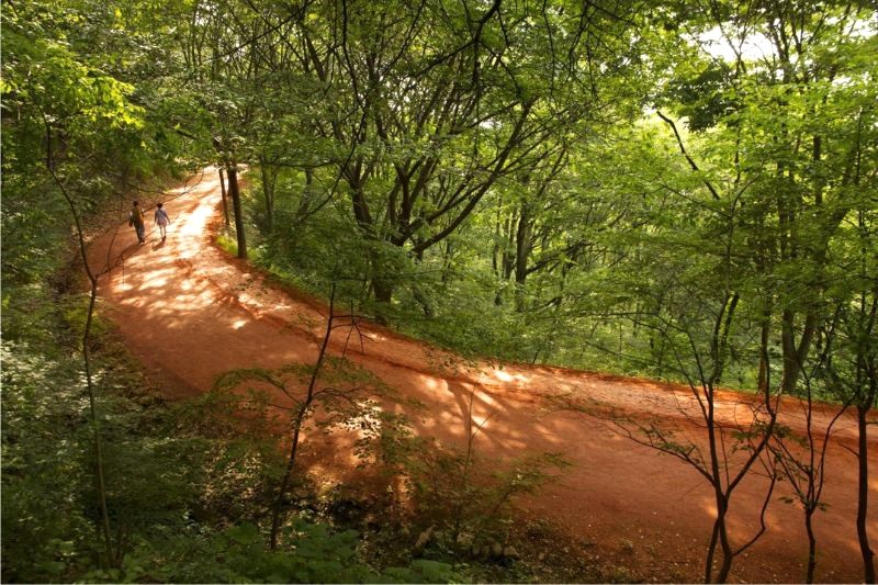 Lễ hội núi Gyejok: 14,5km đi chân trần trên đường đất đỏ mềm, trải nghiệm độc đáo!