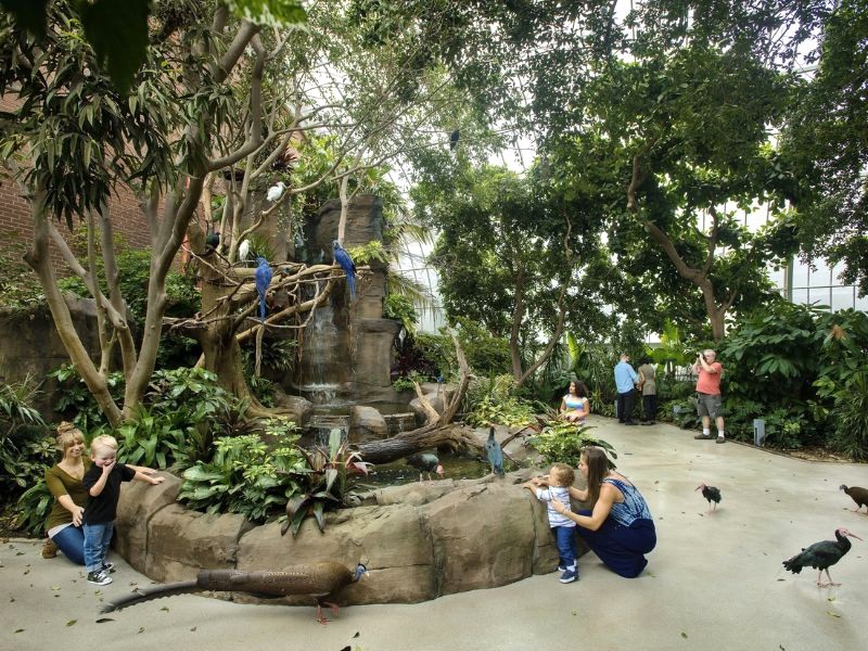 Thế giới loài chim rộng mở tại Vườn quốc gia Aviary (Ảnh: lewisandclark)