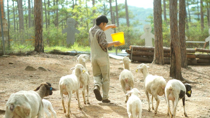 ZooDoo: Cà phê độc đáo, vườn thú thú vị.