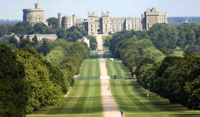 Windsor Great Park: Nơi lý tưởng cho các hoạt động ngoài trời gần lâu đài Windsor.