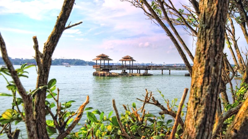 Bắt trọn vẻ đẹp hoang sơ, thơ mộng của Pulau Ubin với chiếc máy ảnh của bạn! (Ảnh: cntraveler)